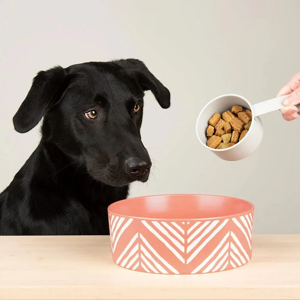 Aztec 2 Piece Dog Food & Water Bowl Set - Terracotta Orange