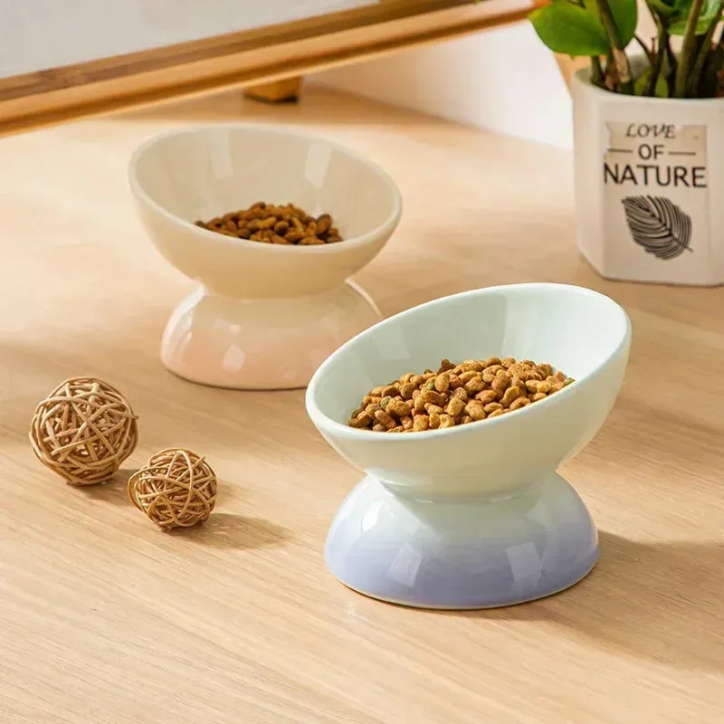 Gradient Ceramic Raised Cat Bowl - Tilted Design for Pet Feeding