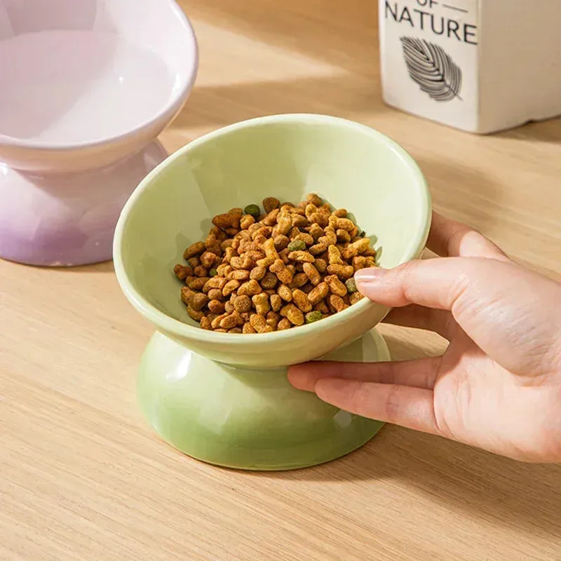 Gradient Ceramic Raised Cat Bowl - Tilted Design for Pet Feeding