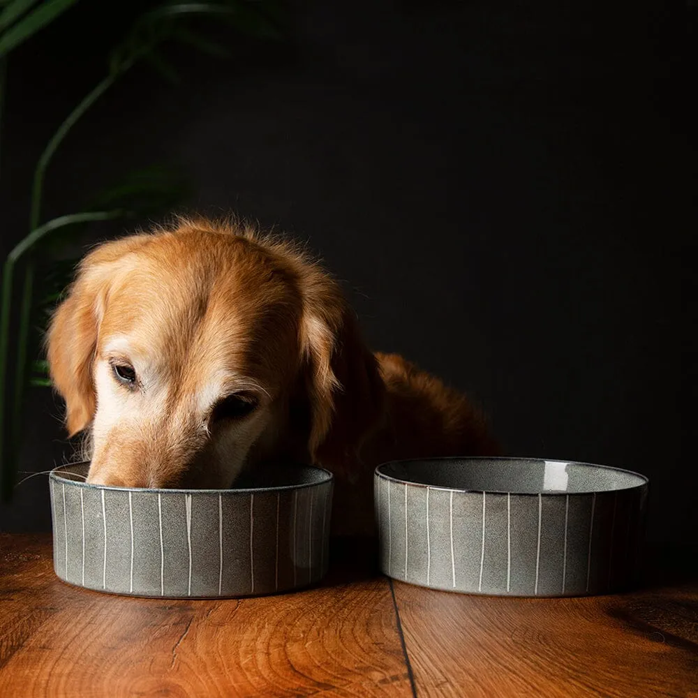 Reactive Glaze 2 Piece Dog Food & Water Bowl Set - Pinstripe Grey