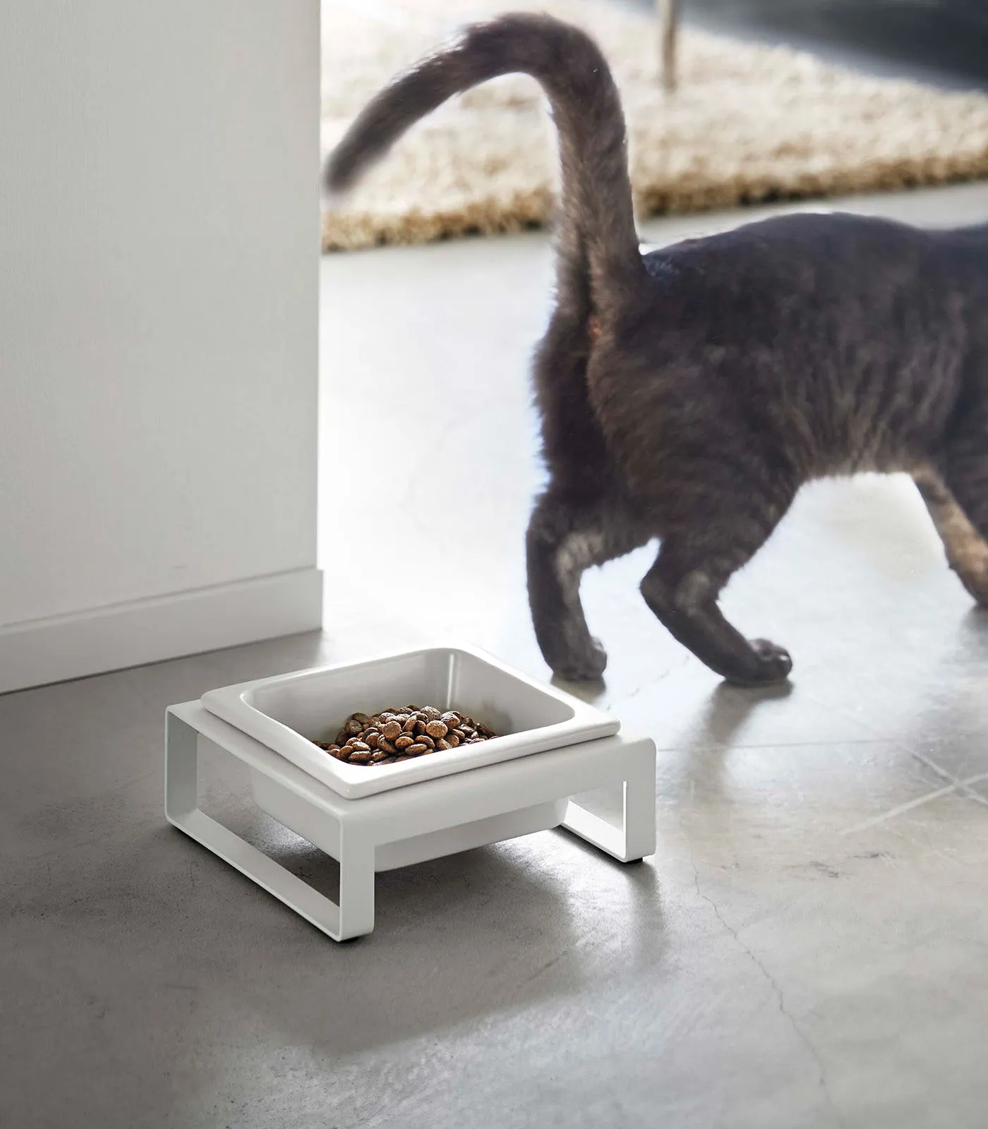 Single Pet Food Bowl - Two Styles - Steel   Ceramic