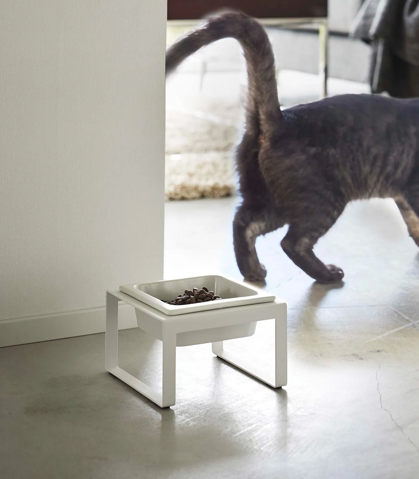 Single Pet Food Bowl - Two Styles - Steel   Ceramic