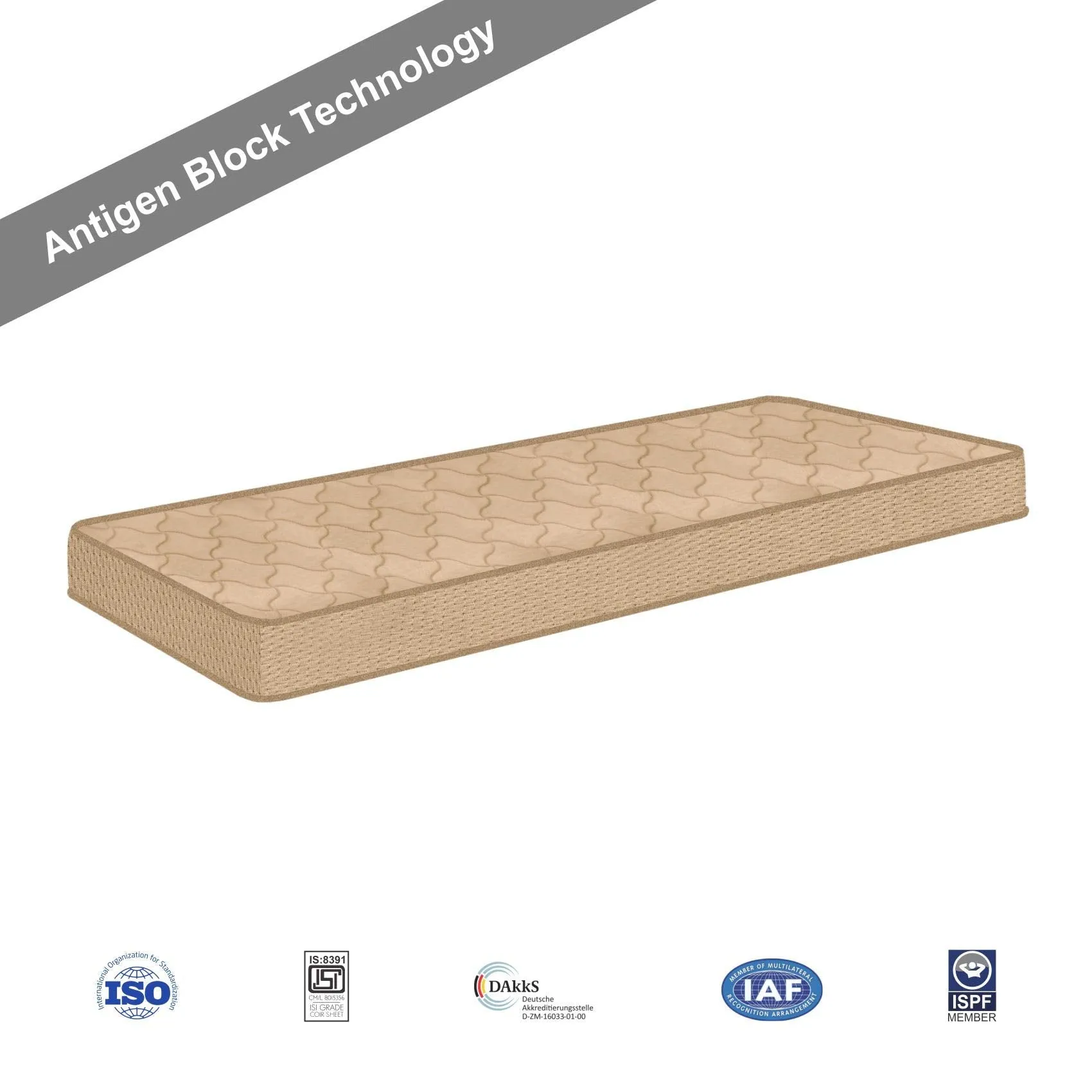 SLEEPSPA by COIRFIT Vitara 5 inch Queen Size Rebonded Foam Mattress | Doctor's Recommended, Pressure Relieving, Firm, Orthopedic Mattress | Back Pain Relief with Durable Construction (Beige, 78X60X5)