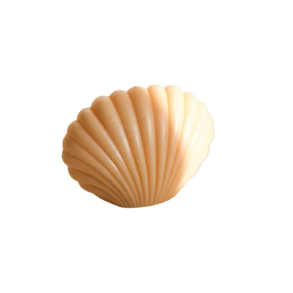 Soy Wax Seashell Candle